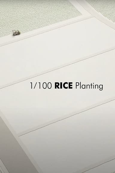 1/100 RICE Planting poster