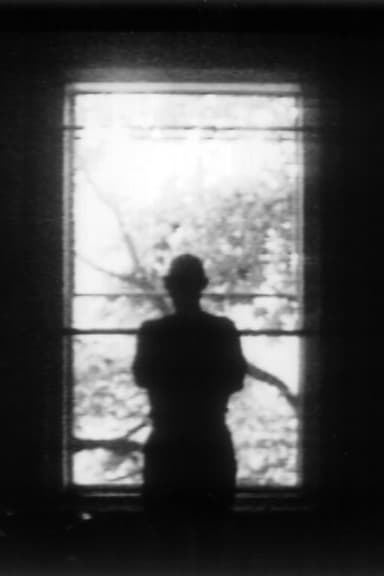 Window poster
