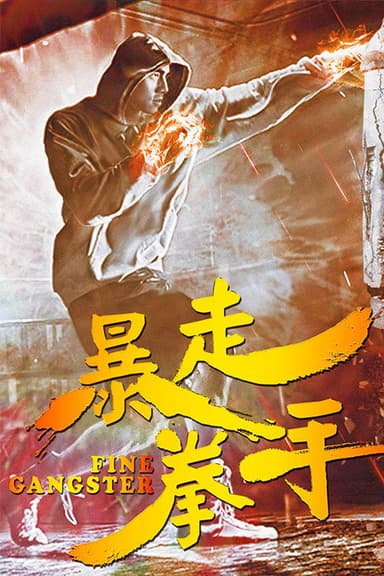 暴走拳手 poster