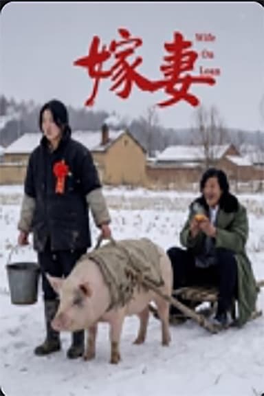 嫁妻 poster