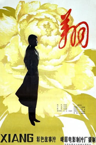 翔 poster