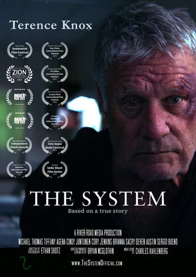 The System poster