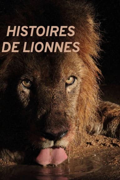 Histoires de lionnes poster