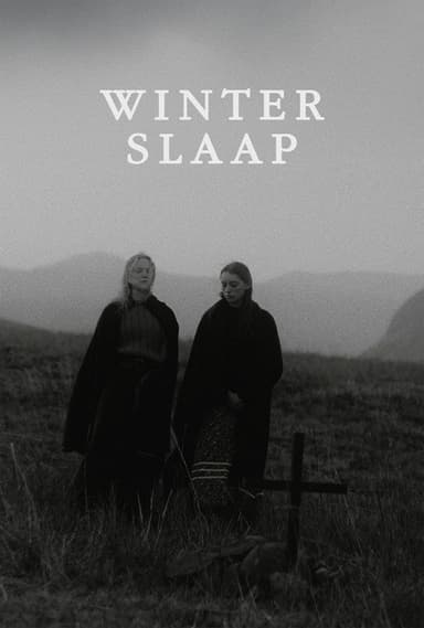 Hibernation poster