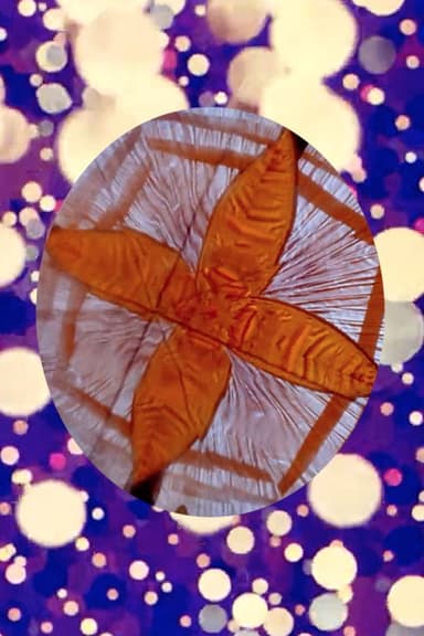Mitochondrial Ballet poster