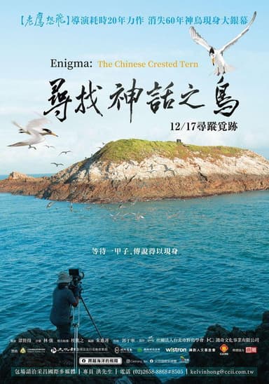 Enigma: The Chinese Crested Tern poster