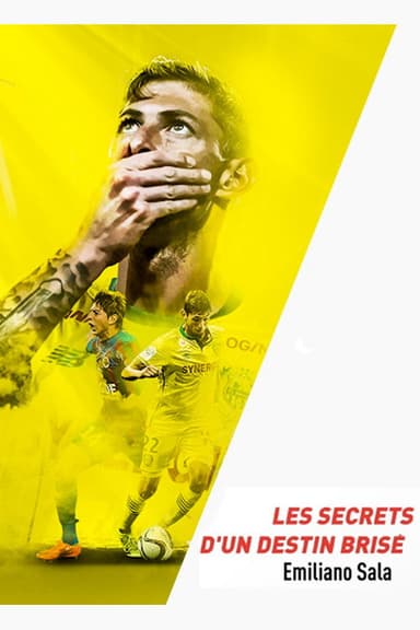 Emiliano Sala, les secrets d'un destin brisé poster