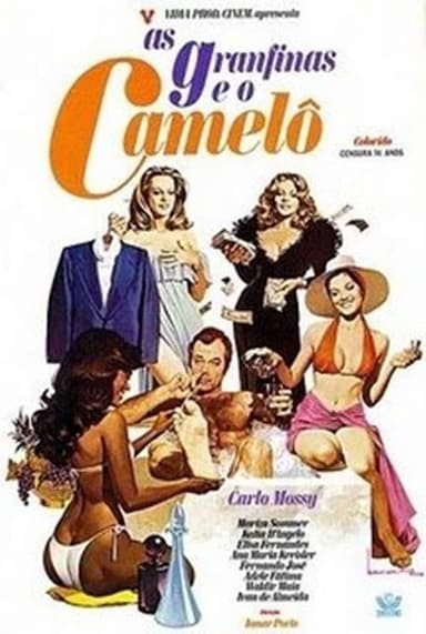 As Granfinas e o Camelô poster