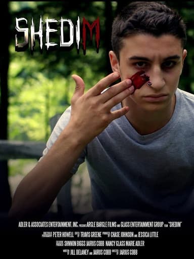 Shedim poster