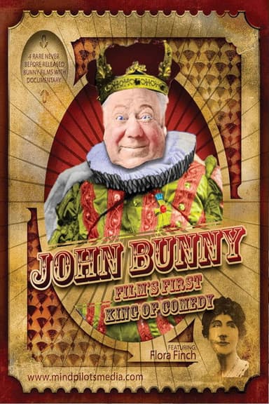 Mr. Bunny in Disguise poster