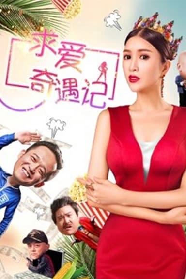 求爱奇遇记 poster