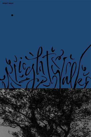 Night Walk poster