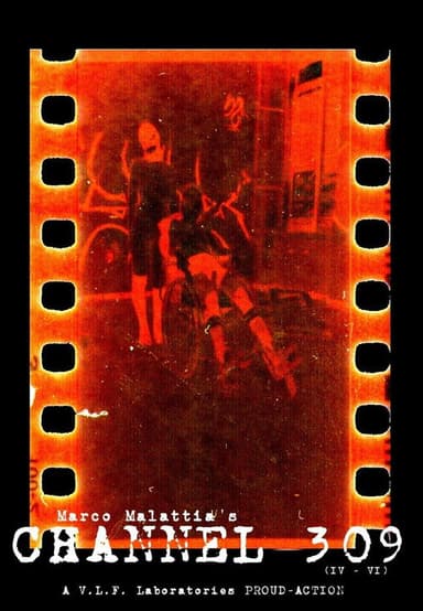 Channel 309 (4-6) poster