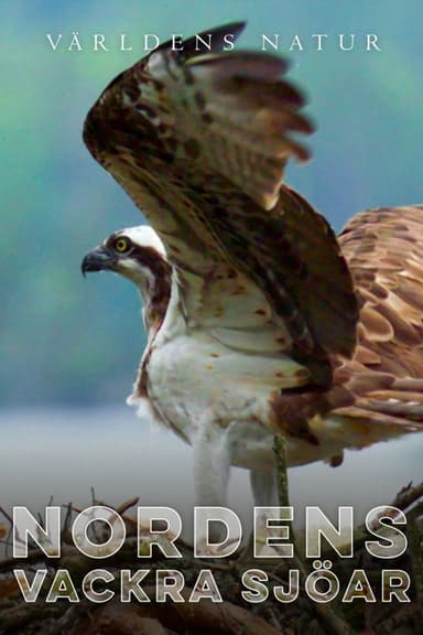 Nordens vackra sjöar poster