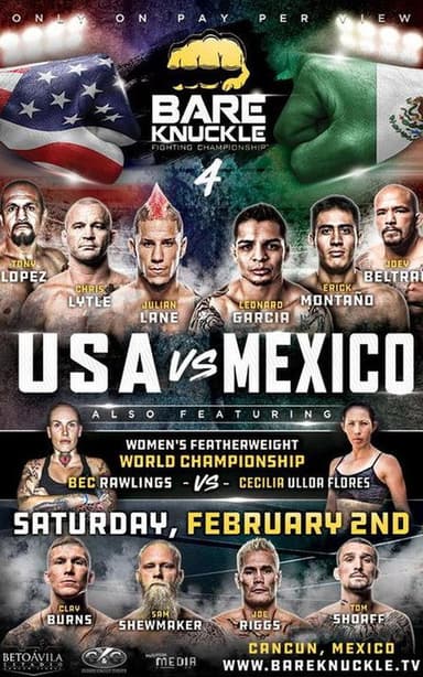 Bare Knuckle Fighting Championship 4 poster