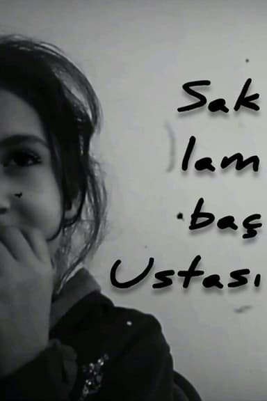 Saklambaç Ustası poster