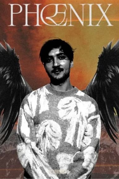 Phoenix : Les Origines poster