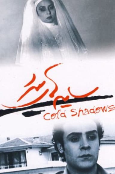 Cold Shadows poster