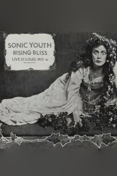 Sonic Youth: Mississippi Nights, St. Louis poster