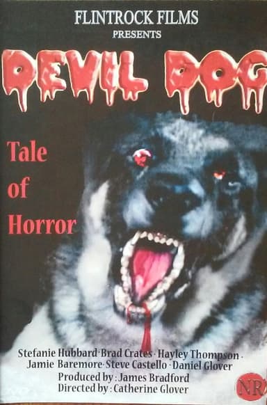 Devil Dog poster