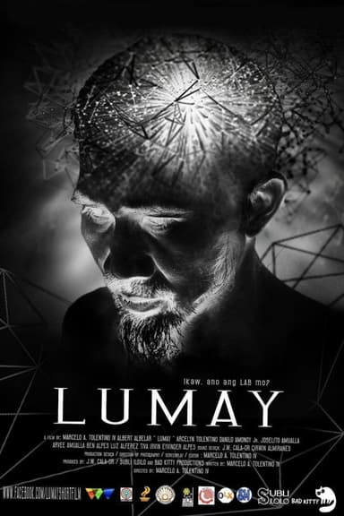 Lumay poster
