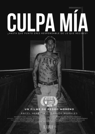 Culpa Mía poster