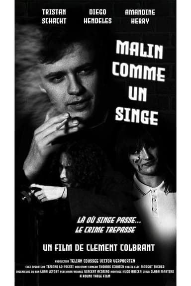 Malin comme un singe poster