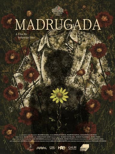 Madrugada poster