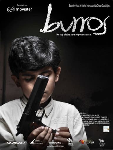 Burros poster