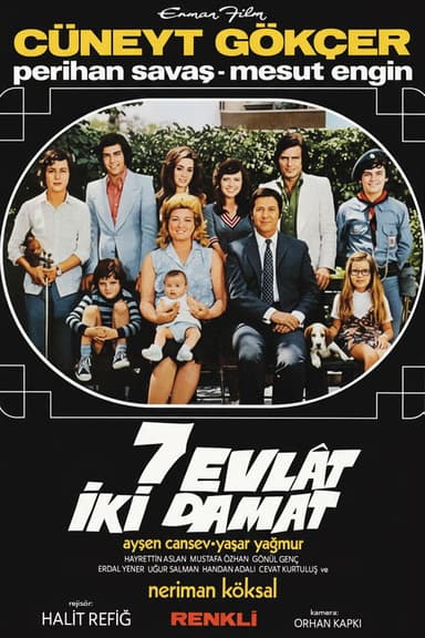 Yedi Evlat İki Damat poster