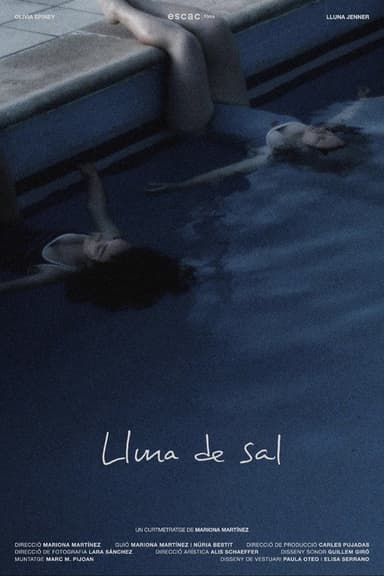 Lluna de Sal poster