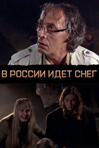 The snow is falling in Russia poster