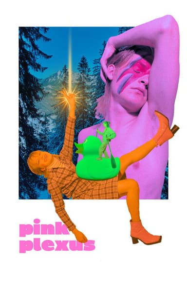 Pink Plexus poster