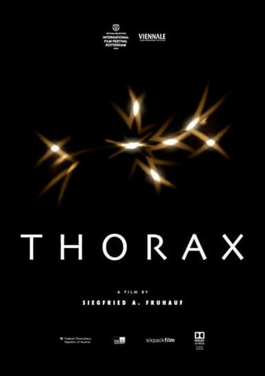 Thorax poster