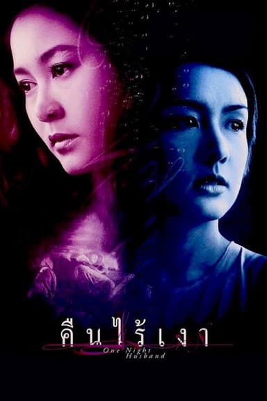 One Night Husband poster
