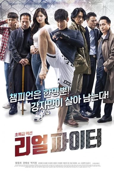 Real Fighter poster