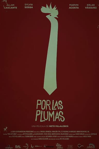 All About the Feathers poster