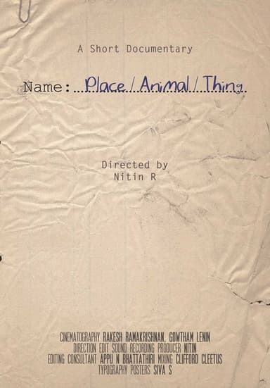 Name, Place, Animal, Thing poster