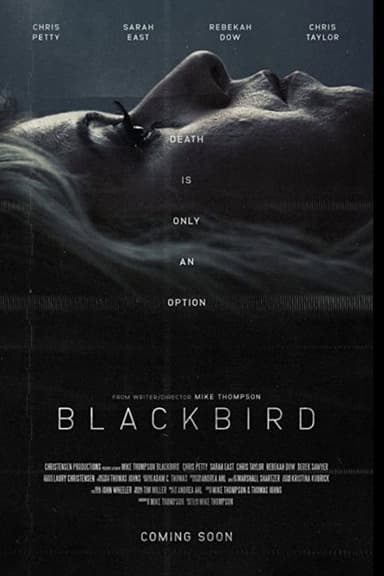 Blackbird poster