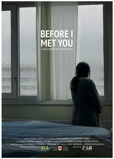 Before I Met You poster