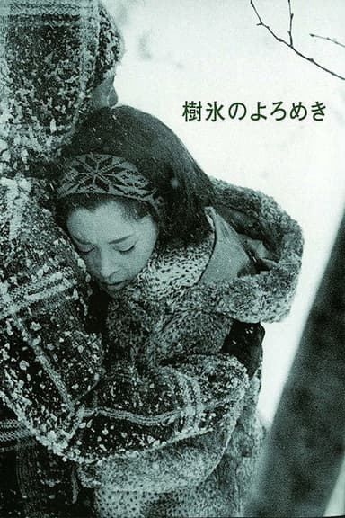 Affair in the Snow poster
