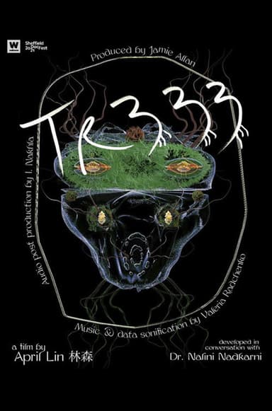 TR333 poster