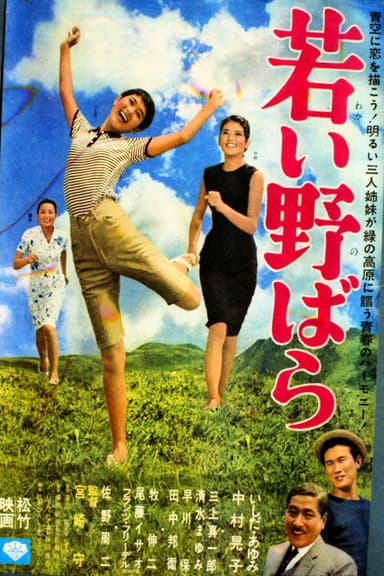若い野ばら poster