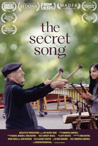The Secret Song poster