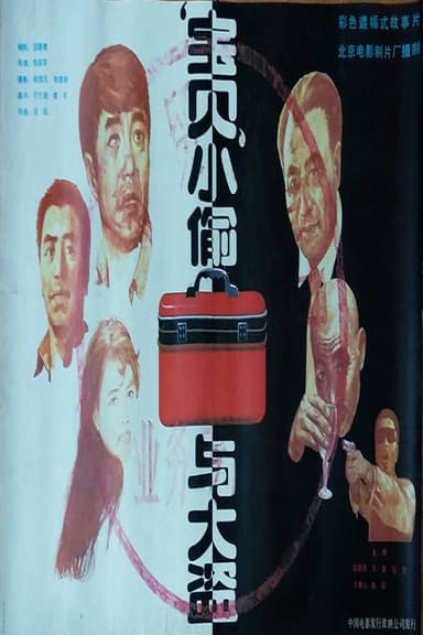 宝贝小偷与大盗 poster