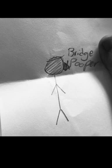 Bridge Pooper poster