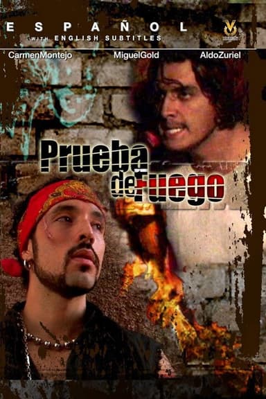 Las Ladrilleras poster
