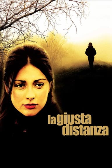 The Right Distance poster