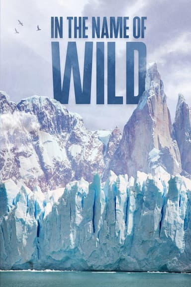 In the Name of Wild poster