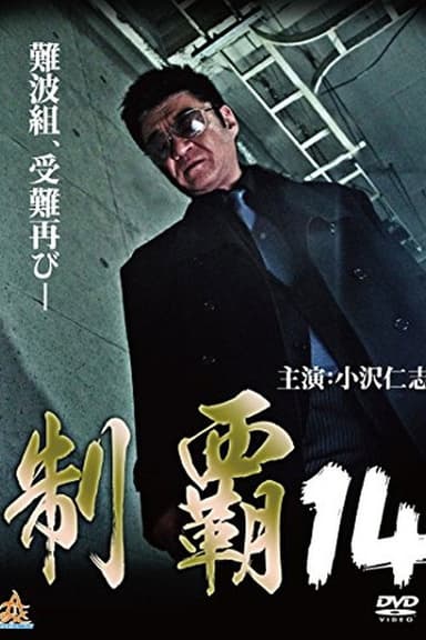 Conquest 14 poster